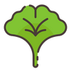 Ginkgo Biloba