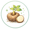 Konjac Root Fiber Glucomannan