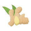 Ginger Root Extract