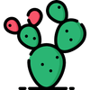 Prickly Pear