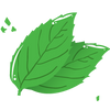 Peppermint Leaf